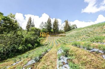 Dijual Tanah Jalan Sapo Juma Pangambatan - Merek (Karo)